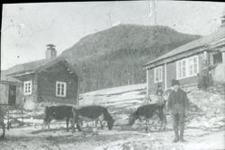 Dekko i Grøndalen ein gong i 1870-åra
"Detta æ or Dækko. dei