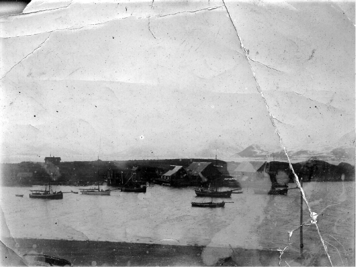 Kvitnes i Hadsel. Det ligger flere båter på Kvitnesvågen og vi ser Ellingsenbryggene i bakgrunnen