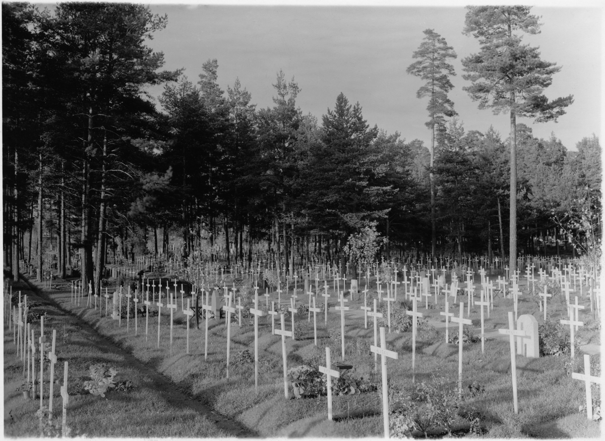 Skogskyrkogården
Gravar omgivna av tallar