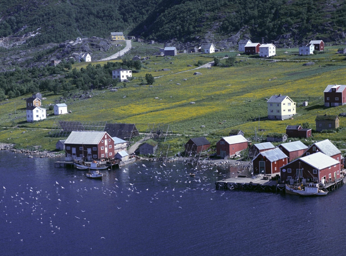 Flyfoto av bebyggelse på Grøtavær. Måser, fiskehjeller, naust og brygger i forgrunnen.