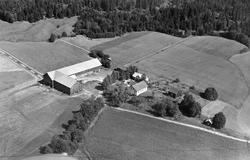 Gården Sandaker i Rakkestad, flyfoto 4. august  1951.