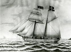 Avfotografert skipsportrett av skonnert "Ebenezer", bygget i