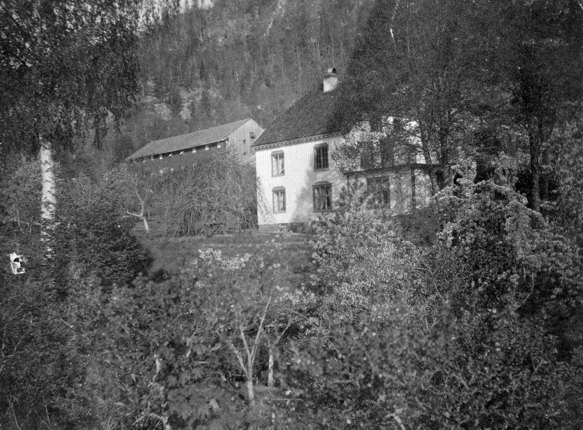 Frøvik gård, juni 1902