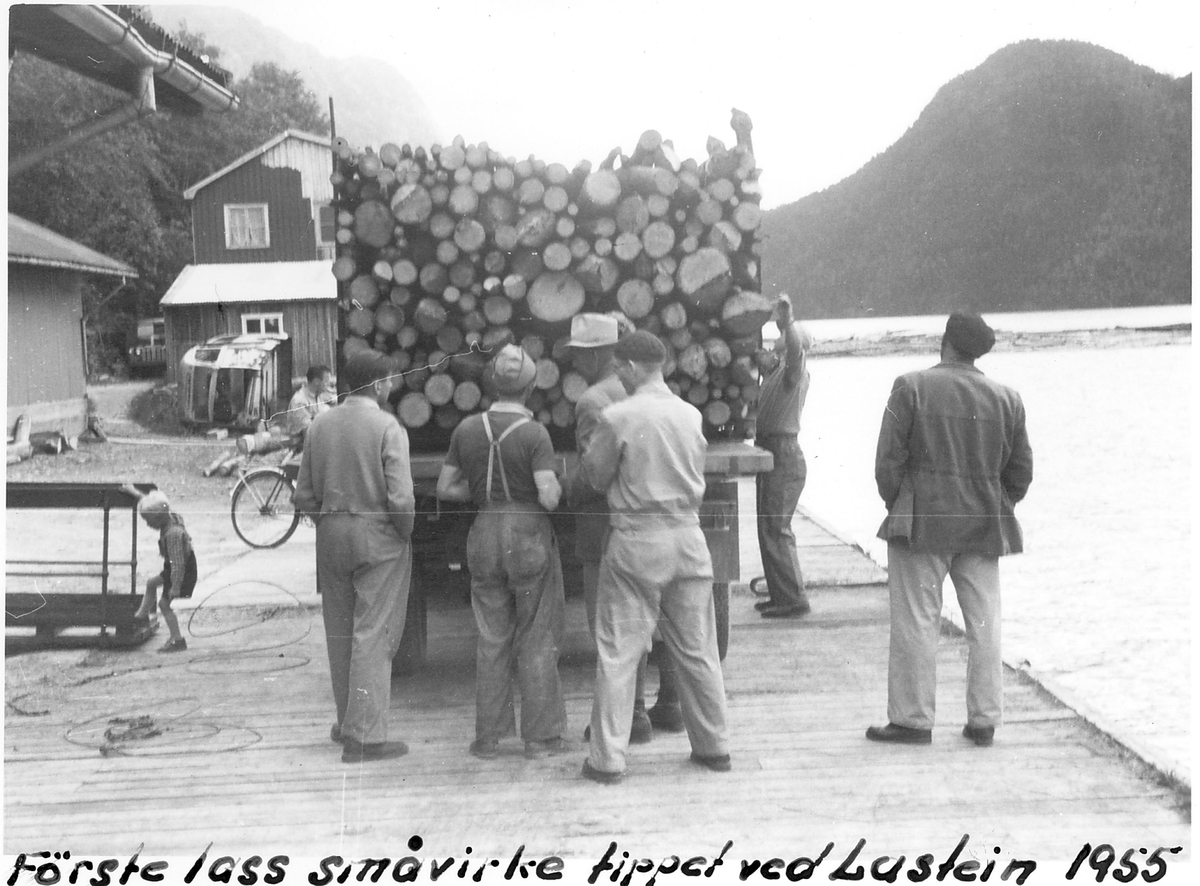 Første lass småvirke tippet ved Lastein, Dalen, Tokke, Telemark, 1955