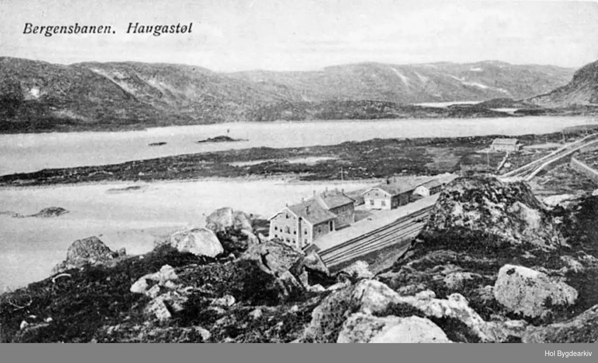 Jernbanestasjon, Haugastøl, Bergensbanen, Fjellandskap,