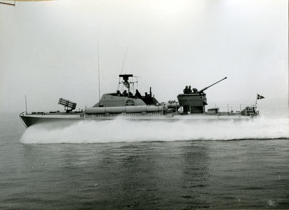 Motortorpedbåten T 42.