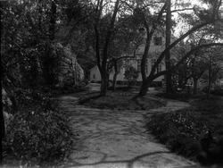 Stort hus i parklignende hage ca 1930