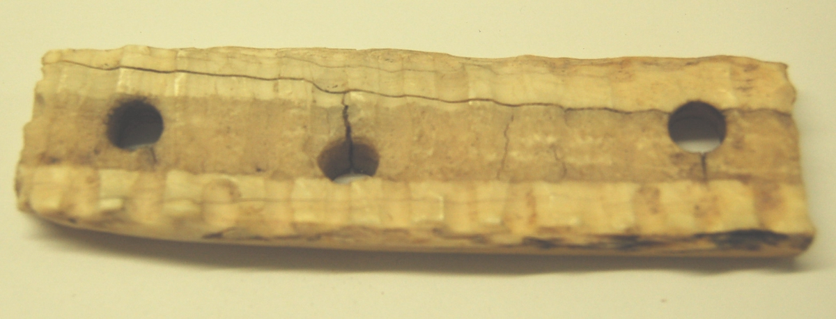 Skinnedel av elfenbein fra kvalross til bruk under meier på sleder. Gjenstanden har hull for festing til tremeien, anten med beinnagler eller reimer. 