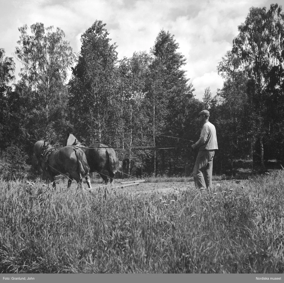 En man arbetar på en åker i Nybble, Julita socken med två förspända hästar.
