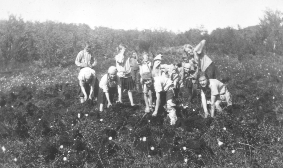 Speiderjenter på arbeid i torvmarka. Bildet er tatt ved patruljeleiren i Rustefjelbma, sommeren 1930. Jentene er kledt i speideruniformer. Det er mye skog i bakgrunnen