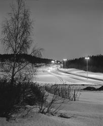 vei, gatebelysning, skog, kulturlandskap, snø