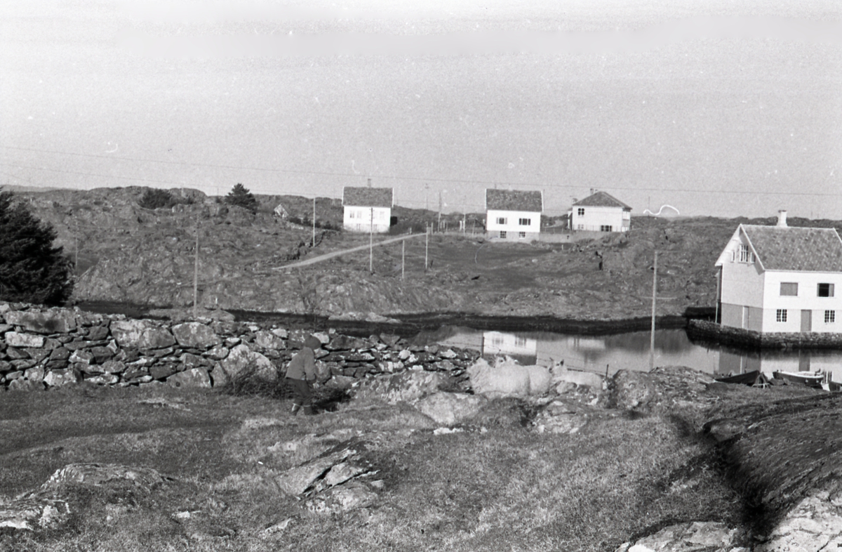 Feøy i Karmøy kommune - landskap - hav - skole - bebyggelse.