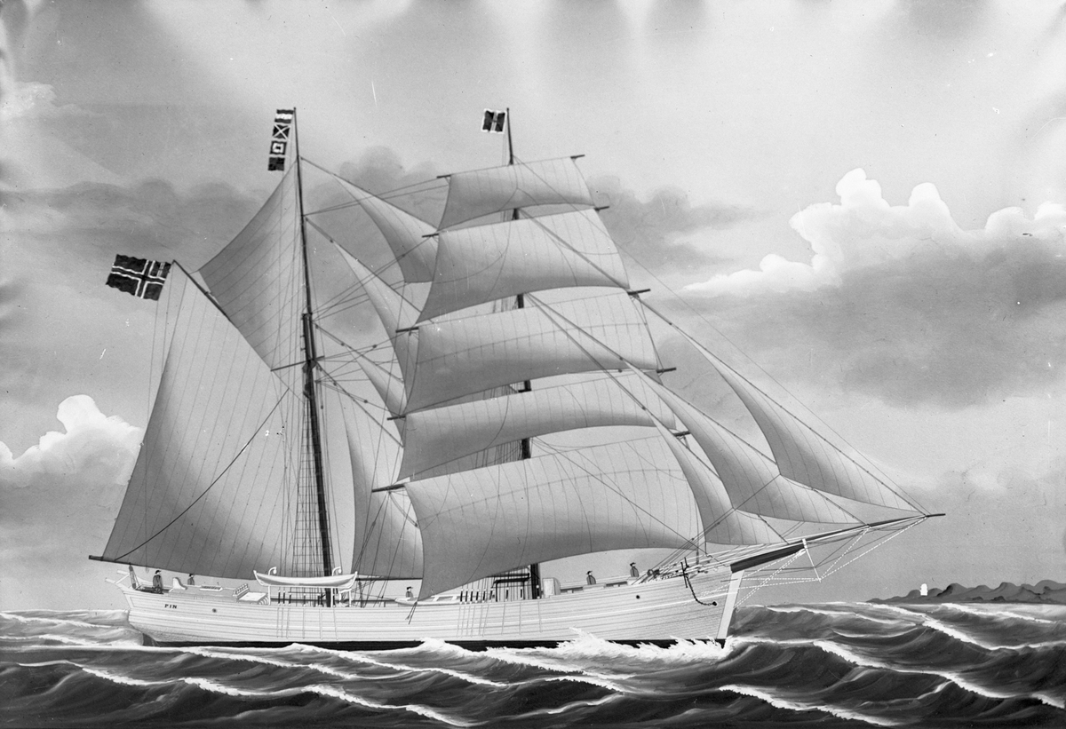 Galeasen, senere skonnertbriggen, "Fin" for fulle seil. "Fin" deltok i saltfisktraden på Newfoundland/Labrador.