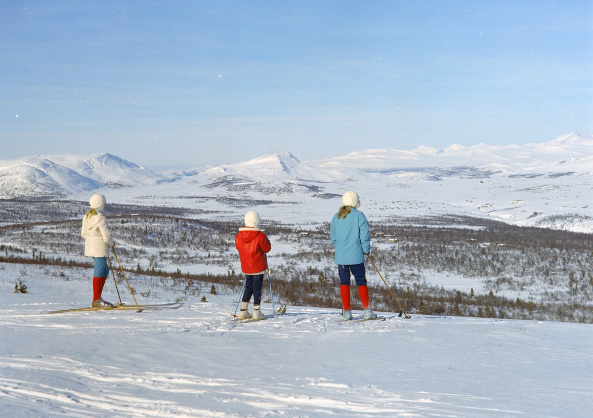 Nordisk Fjellskole.
Ringebu Fjellskole, Ringebufjellet, vinter. Skiløpere, utsikt, landskap,