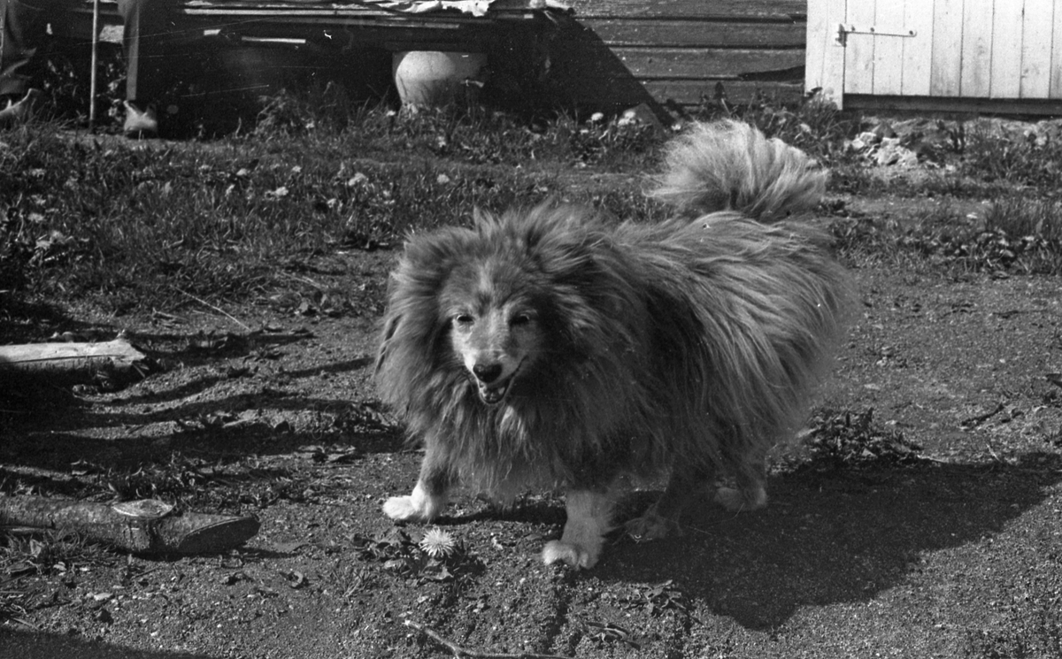 17. mai - 1971.  Del 3 av 7. Kransenedleggelse. Barne-tog og andre aktiviteter.