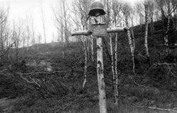 Tysk soldatgrav, markert med et enkelt bjørkekors. Oppå heng