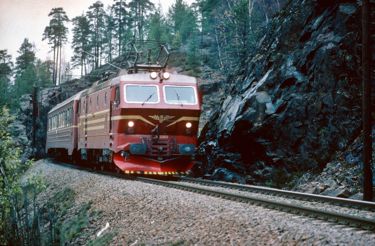 Gjøvikbanen. Ekspresstog 62 Bergen - Oslo S. NSB elektrisk lokomotiv El 16 2202.