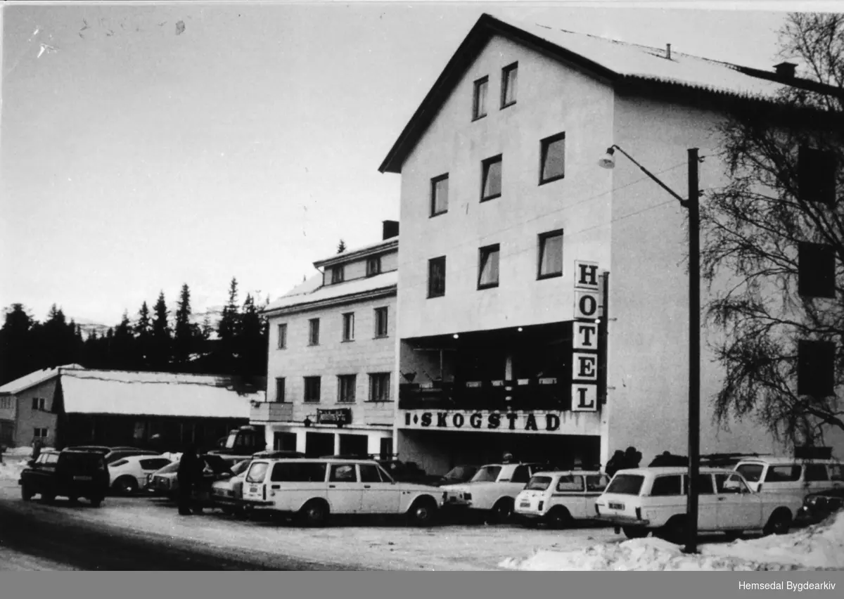 Skogstad Hotell i Hemsedal