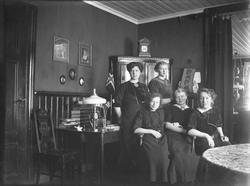 Fem damer poserer i stuen