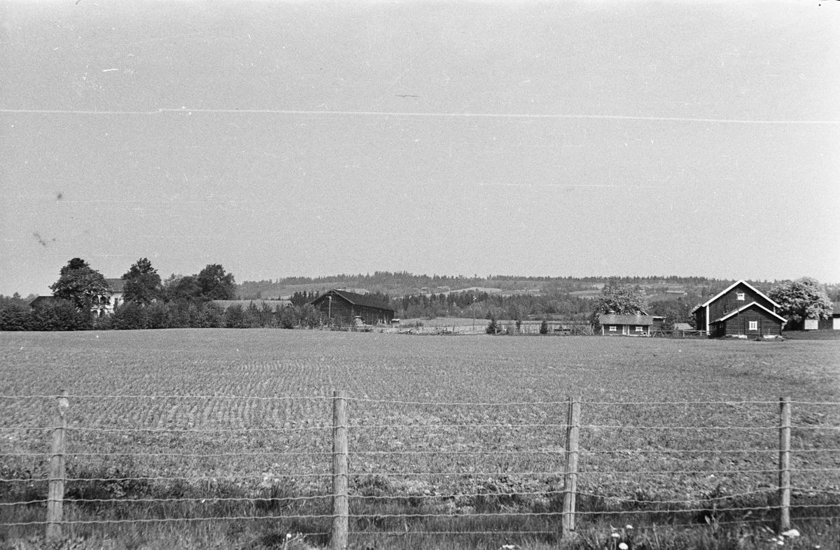 Ukjent gård. Elverum. 1954.