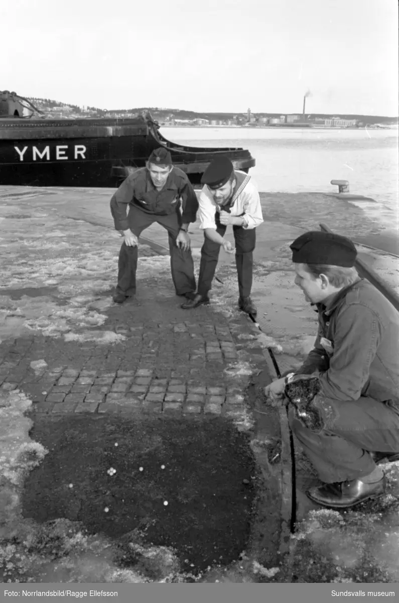 Isbrytaren Ymers besättning spelar kula i vårsolen då det är isfritt i Sundsvallsdistriktet.