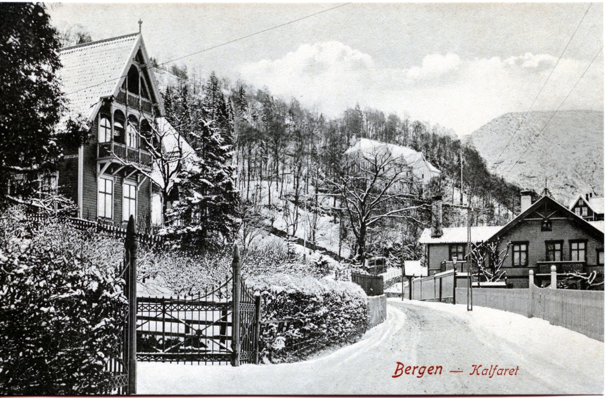 Villaer i Kalfaret, Bergen