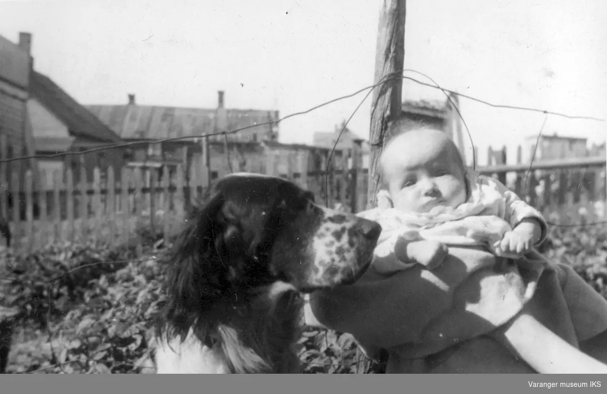 Utendørs portrett av Riestofamiliens hund Jerv og babyen Friedel (Mizda). Friedel var sønn av Klara Riesto og Stefan Mizda som giftet seg i 1945 og bosatte seg i Østerrike. Bildet er tatt i Vadsø i tiden før storbombingen av Vadsø by, juli/august 1944. Friedel ble født i mai 1944.