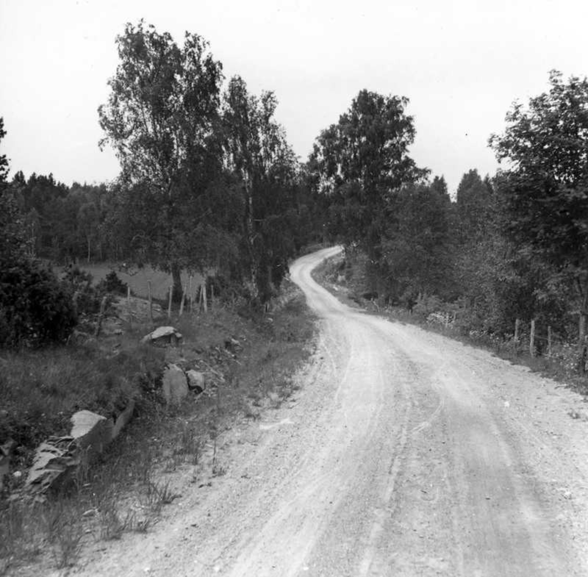 Dalsland. Landsväg utmed sjön Ånimmens östra starnd. 31/5-2/6 1943.