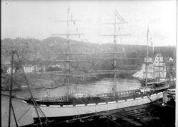 fartøy, seilskip, bark "Bonovento" av Larvik