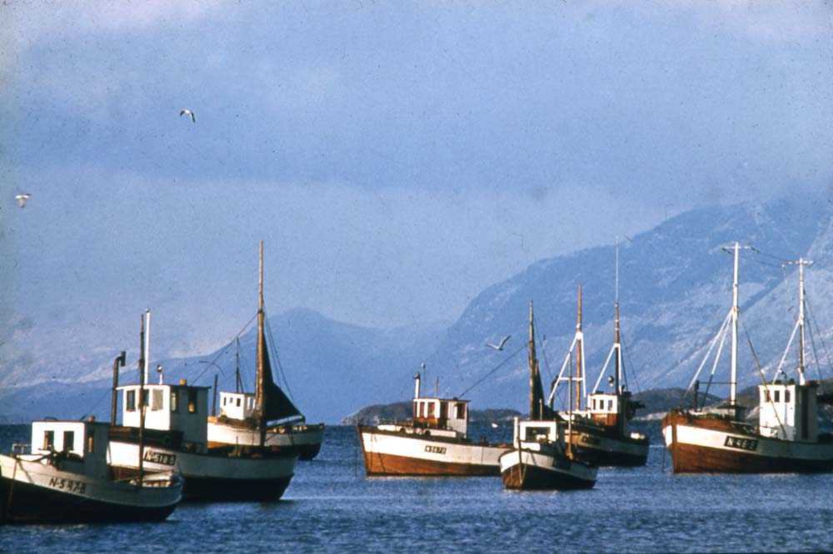 Fiskebåter. Båtene ligger tett i Kjerringøy mens man venter på godt fiskevær.
