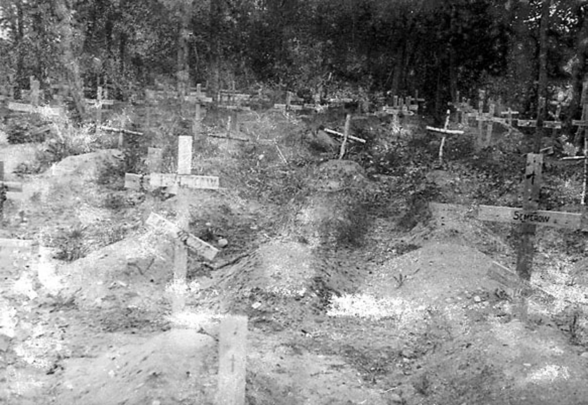 Gravplass, flere graver med provisoriske gravstøtter av tre, formet som kors. Noen med inskripsjon.