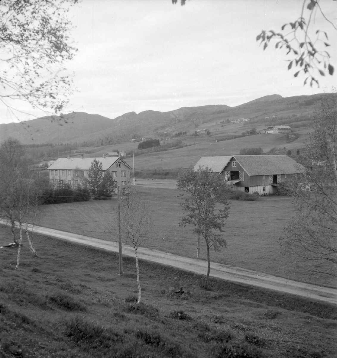Ingebrigt Holtes gård i Rindalsskogen
