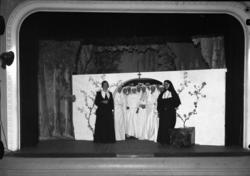 Revy.  Festiviteten.