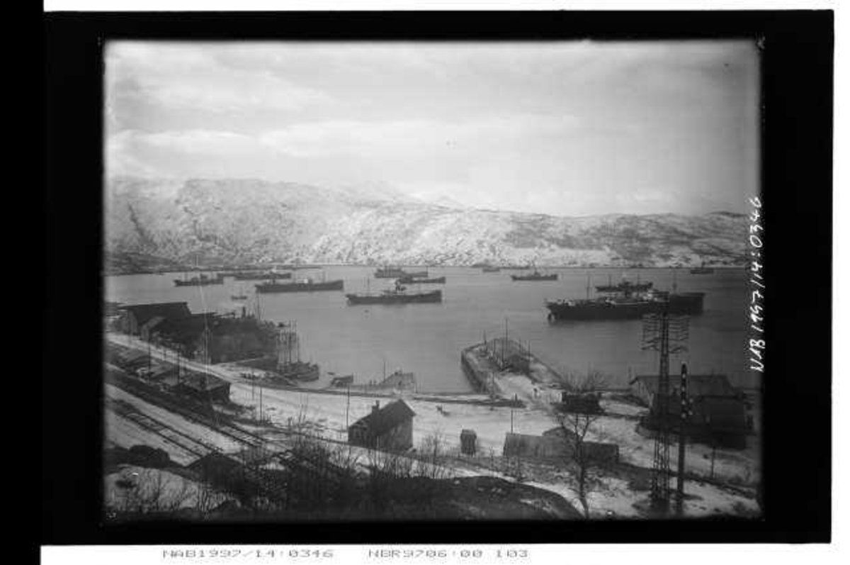 Narvik havn med ventende malmbåter. ,Huset midt i bildet, røstet mot kaia. er Bjørnstads ekspedisjon. Pir 2. Kaiskuret helt til h. tilhørte også Bjørnstad. Bak den ligger stasjonsbygningen bygningen til Narvik D.