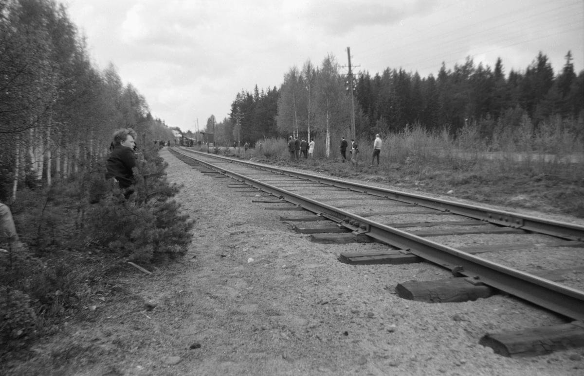Norske og svenske jernbaneentusiaster venter på fotokjøring med Svenska Järnvägsklubbens veterantog på Solørbanen, trukket av damplok 26c 411.