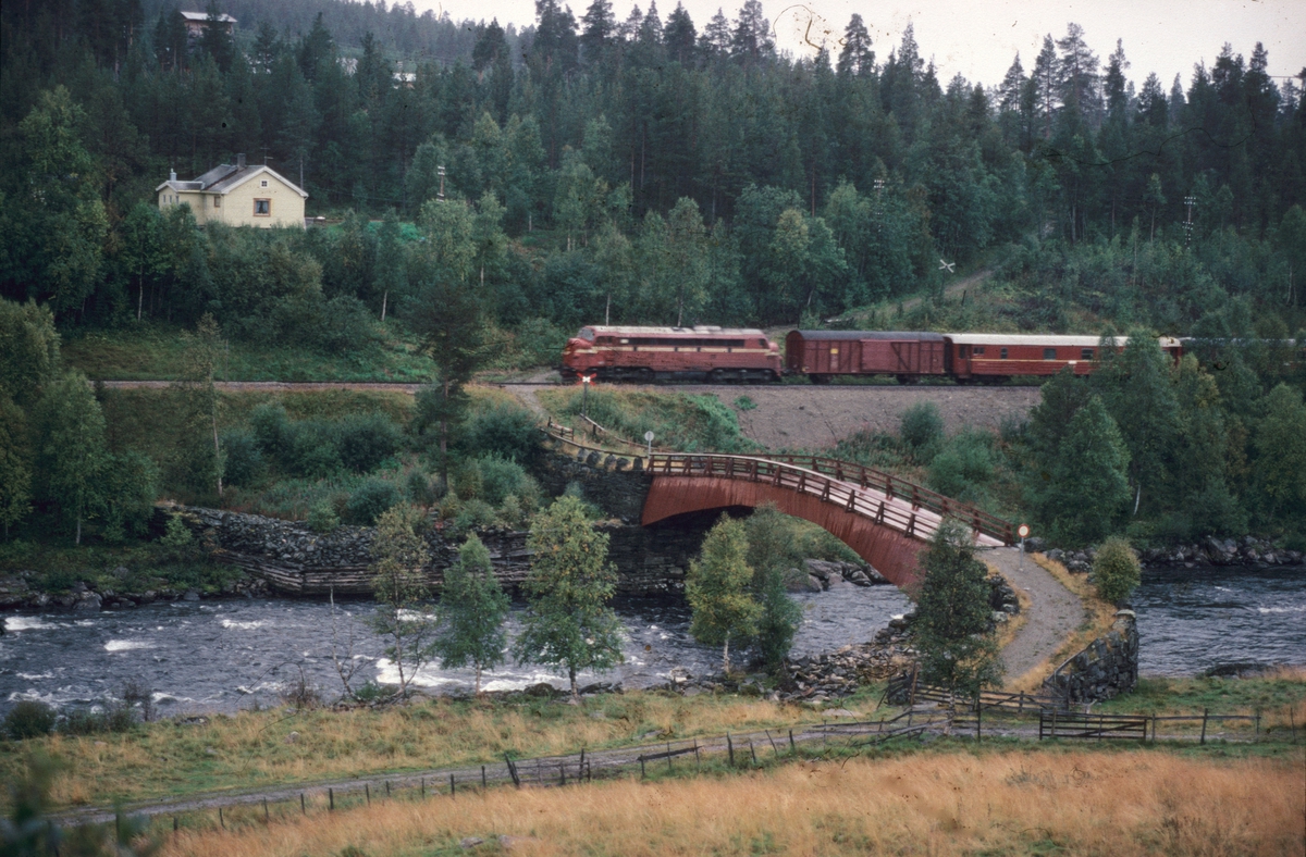 Dagtoget Oslo - Trondheim over Røros, tog 301, ved gammelbrua på Tolga. Nord-Østerdalen, banestrekningen Tolga - Os.
