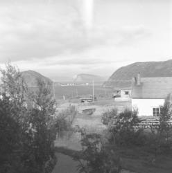 Utsikt fra Arne Nakkens tomt i Rypefjord. En god del løvtrær