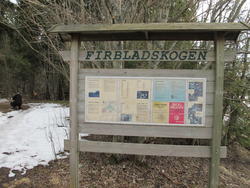 Hulvegen i Firbladskogen - på sporet av jernalderlandskapet 