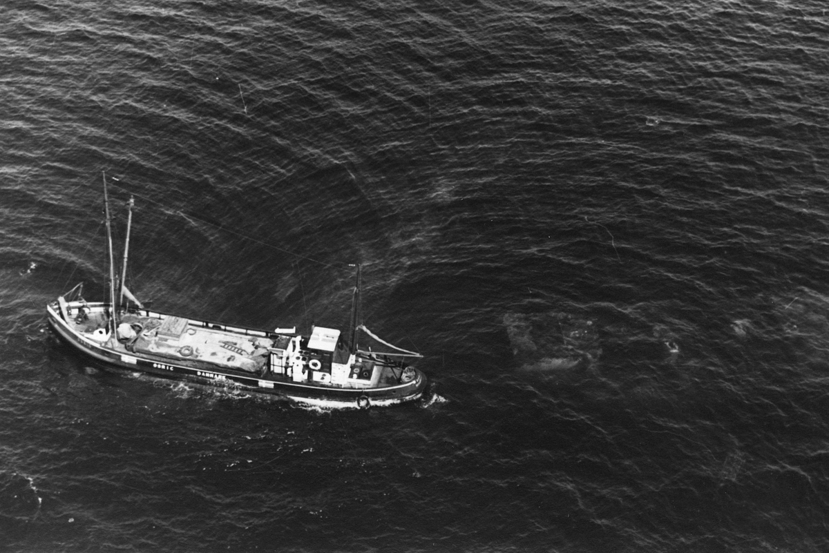 Det som skymtar under vattnet är tankfartyget Allgol RN 8207 som minsprängdes 13.12 1939 vid Falsterbo.