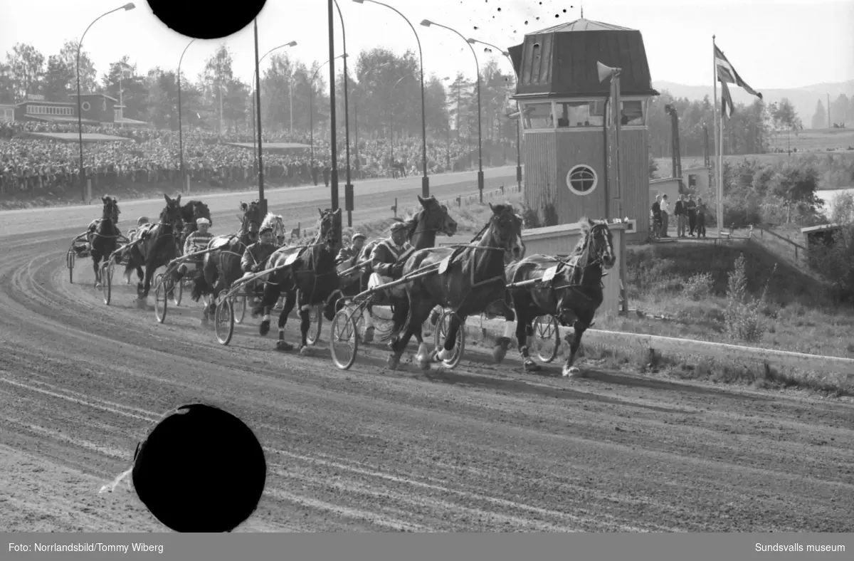 Nordsvenska travmästerskapet på Bergsåkers travbana 1960.