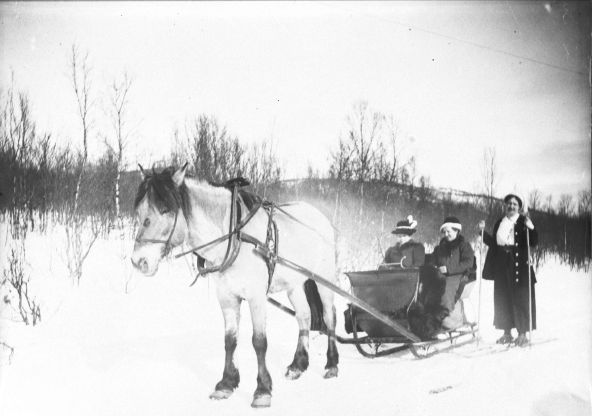 Hest, to kvinner i slede og en skiløper, fotografert i vinterlaqndskap.