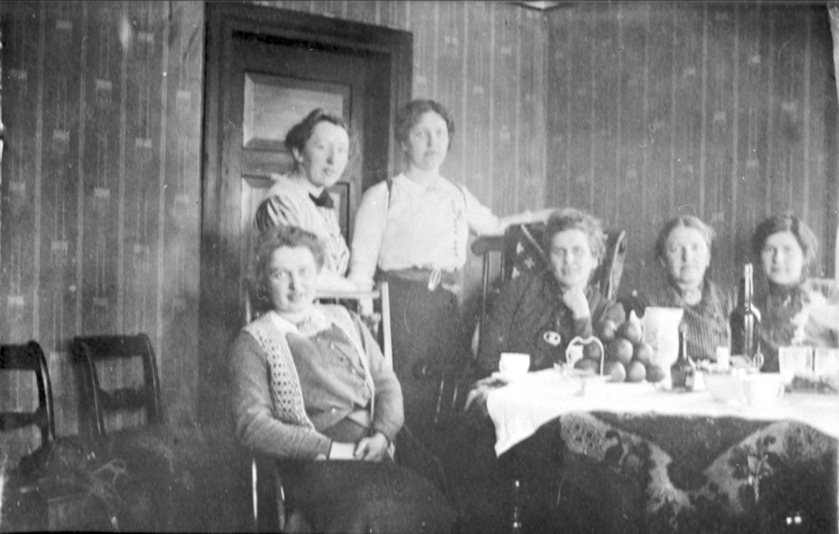 Gruppebilde av seks kvinner sittende ved bordet i en stue.