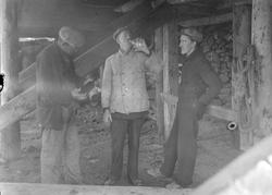 Tre menn drikker brennevin under ei brygge