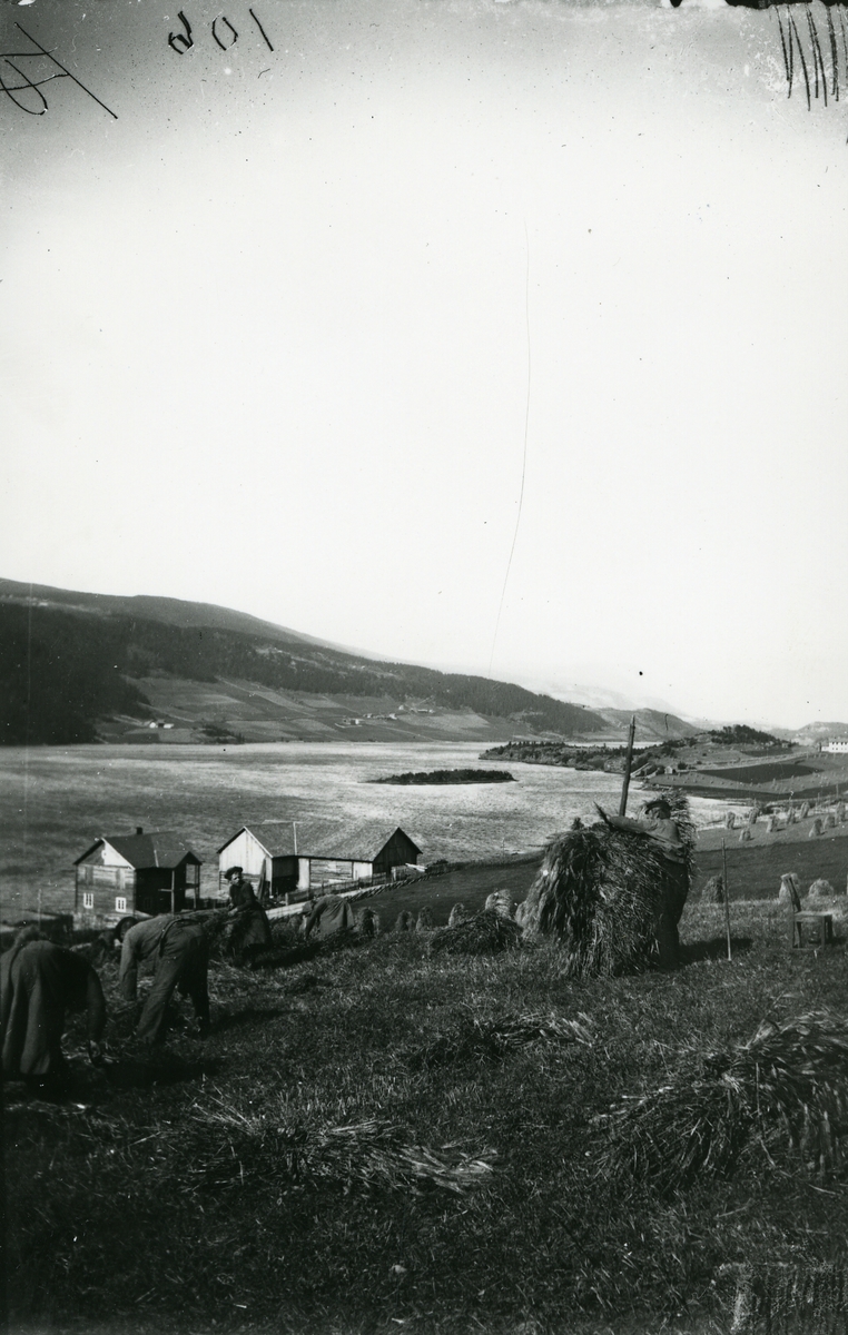 3 personer i arbeid på åkeren. Fra Stavenjord i Ulnes øst, Nord-Aurdal. Granheimsfjorden og Granheimsgardene i bakgrunnen.