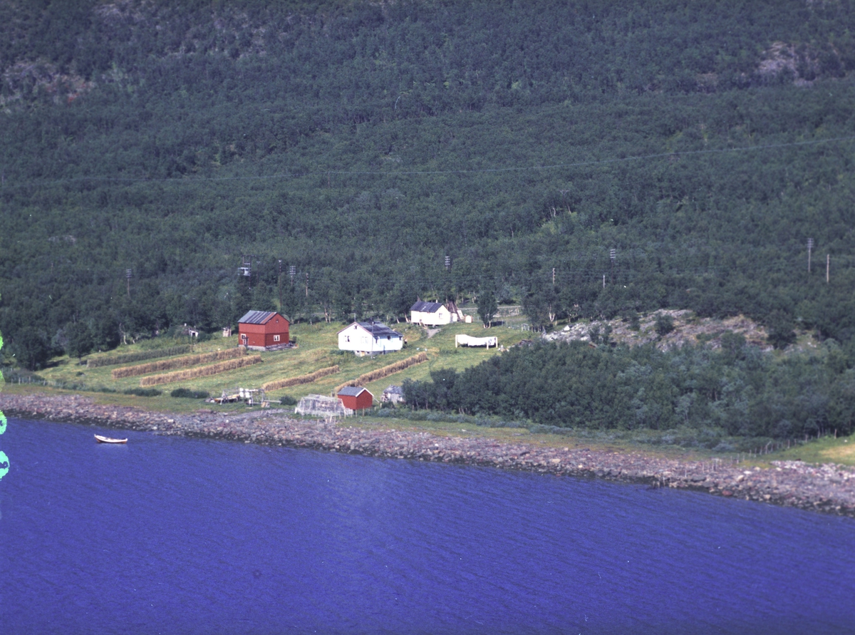 Flyfoto fra Lebesby. Negativ nr. 122692. Fra tettstedet Ifjord. Huset tilhører familien Tordis Nyland.