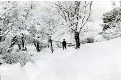 Paul Lindseth på ski i Flatanger