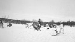 En samisk gruppe men og deres reinraide under en hvil i Polm