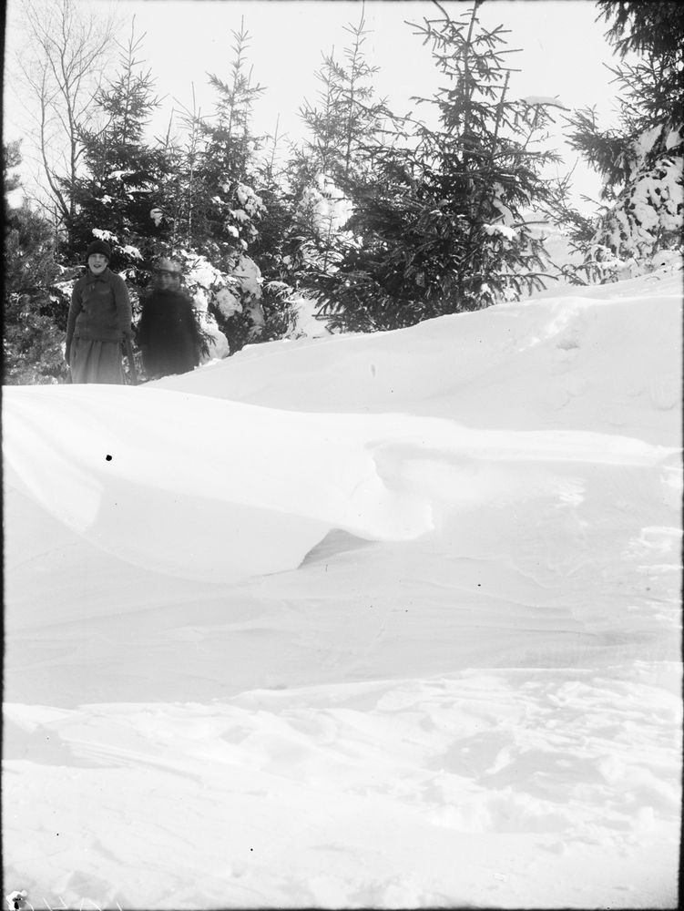 Skräcklan snövintern år 1929  Vänersborg