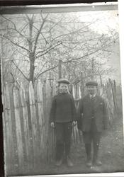 To unge guter stående ved et gjerde, under et tre.