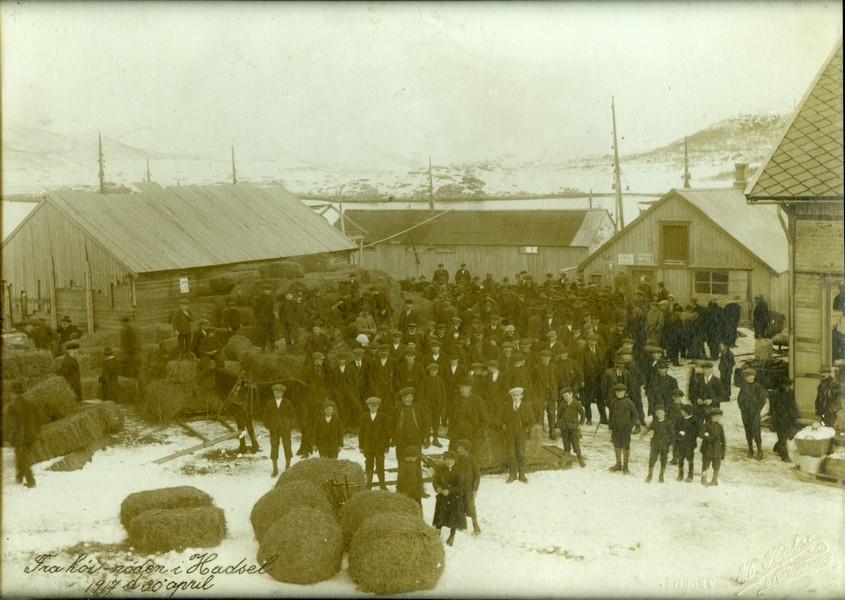 Høynød i Hadsel datert 30.April 1917. Fra Stokmarknes med Nord-gården til høyre i bildet. Børøya i bakgrunnen.